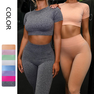 Seamless Short-Sleeve Yoga Set
