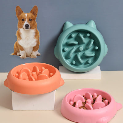 Anti-Gulping Slow Feeder Pet Bowl