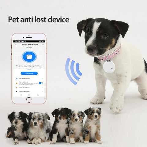 Pet Essentials