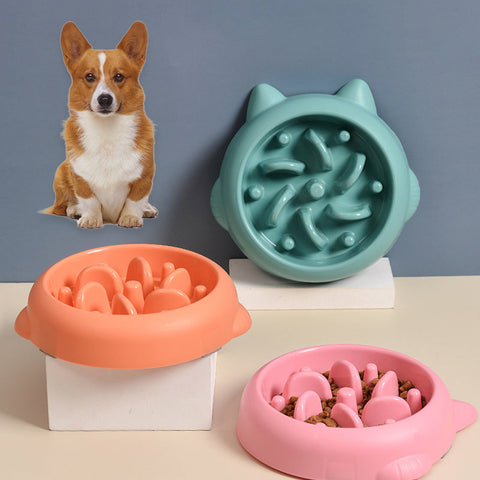 Feeders & Bowls