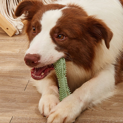 TPR Dog Dental Chew Toy