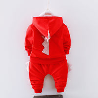 Boys Cotton Hooded Tracksuit Set — image 3