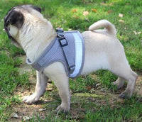 Reflective Dog Harness and Leash Set