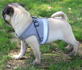 Reflective Dog Harness and Leash Set