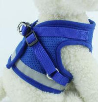 Reflective Dog Harness and Leash Set — image 5