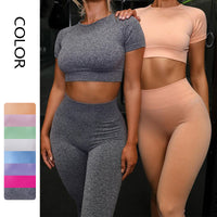 Seamless Short-Sleeve Yoga Set