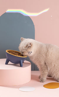 Tilted Pet Bowl with Stand — image 7