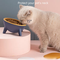 Tilted Pet Bowl with Stand — image 6