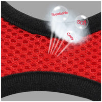 Breathable Pet Harness and Leash — image 3