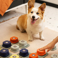 Recordable Pet Communication Button — image 2
