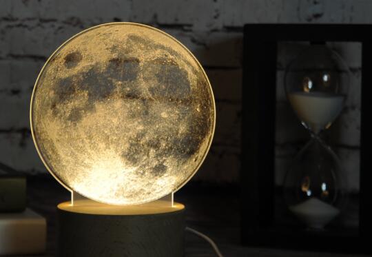 Jellyfish LED Touch Night Light — image 5