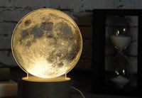 Jellyfish LED Touch Night Light — image 5