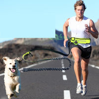 Hands-Free Dog Running Leash Belt