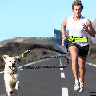 Hands-Free Dog Running Leash Belt
