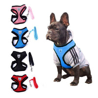 Breathable Pet Harness and Leash — image 2
