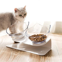 Tilted Transparent Cat Feeder Bowl