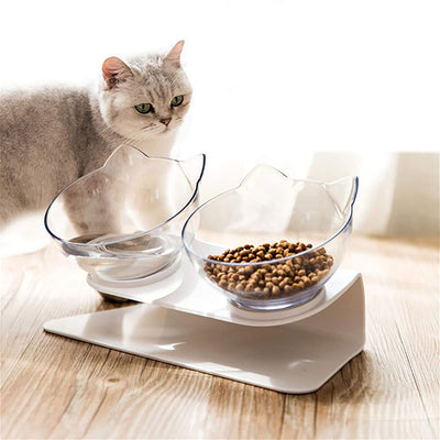 Tilted Transparent Cat Feeder Bowl