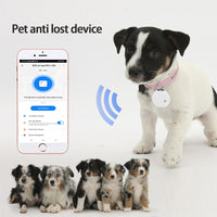 Bluetooth Pet Location Tracker