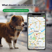 Bluetooth Pet GPS Tracker Collar — image 4