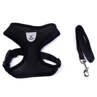 Breathable Pet Harness and Leash — image 6