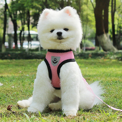 Breathable Pet Harness and Leash
