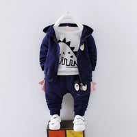 Boys Cotton Hooded Tracksuit Set — image 2