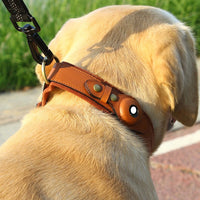 Leather Pet Collar for Tracker