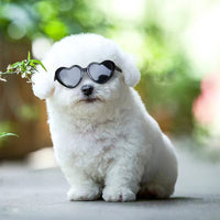 Pet Heart Sunglasses Accessory — image 4