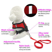 Breathable Pet Harness and Leash — image 4