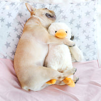 Plush Duck Dog Toy — image 2