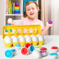 Montessori Shape Matching Egg Toy Set