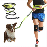 Hands-Free Dog Walking Belt with Bungee Leash