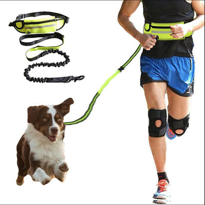 Hands-Free Dog Walking Belt with Bungee Leash