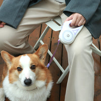 Retractable Pet Leash with Collar — image 4