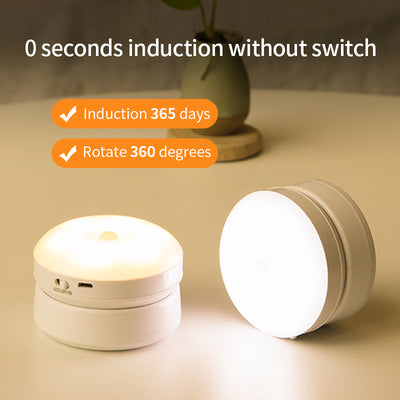 Motion Sensor Rotating Night Light