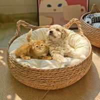 Woven Cat Bed with Soft Cushion — image 3