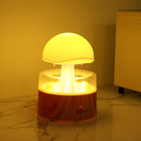 Rain Cloud Ultrasonic Aroma Humidifier — image 3