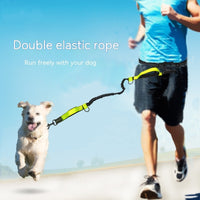Hands-Free Running Pet Leash Belt