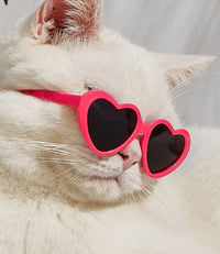 Pet Heart Sunglasses Accessory — image 6