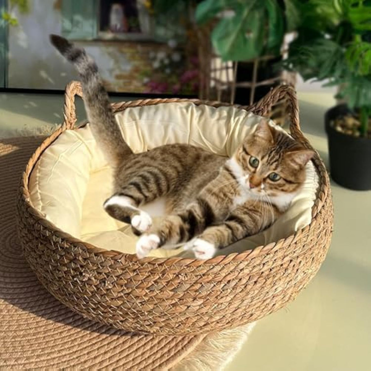 Woven Cat Bed with Soft Cushion