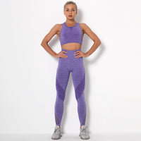 Quick-Dry Sports Bra and Pants Set