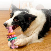 TPR Dog Bone Chew Toy — image 7