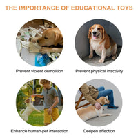Recordable Pet Communication Button — image 7