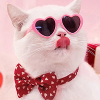 Pet Heart Sunglasses Accessory
